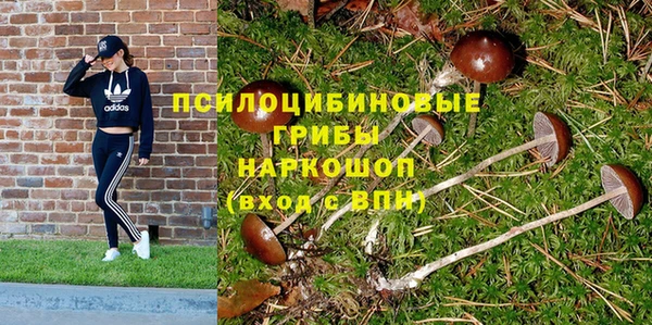 spice Белоозёрский