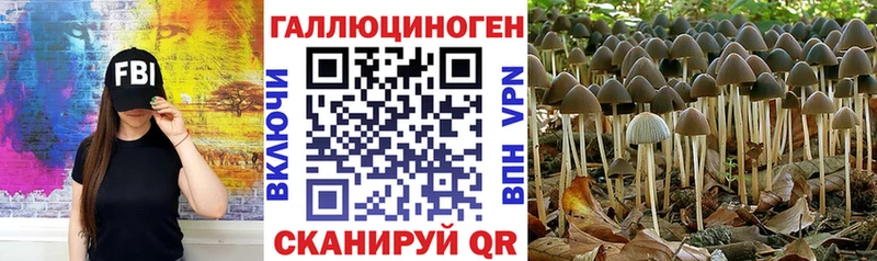 купить  сайты  Кологрив  Галлюциногенные грибы MAGIC MUSHROOMS 